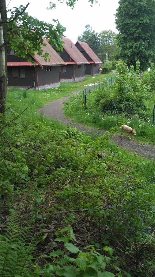 Apartmany Slavie/Sega Trojanovice Eksteriør bilde