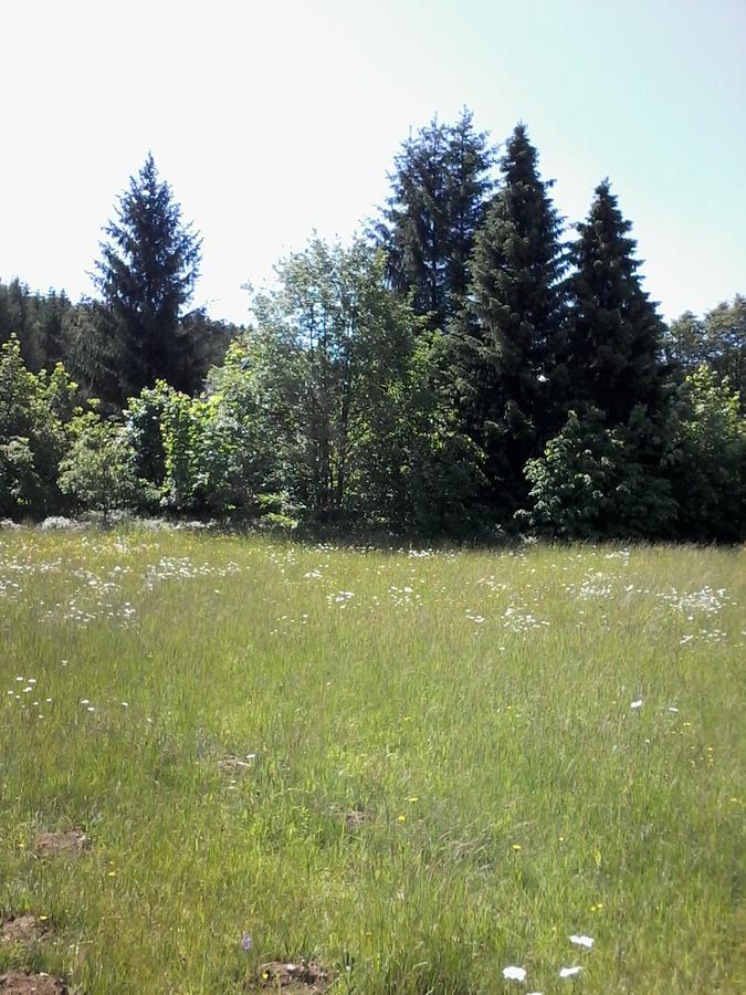 Apartmany Slavie/Sega Trojanovice Eksteriør bilde